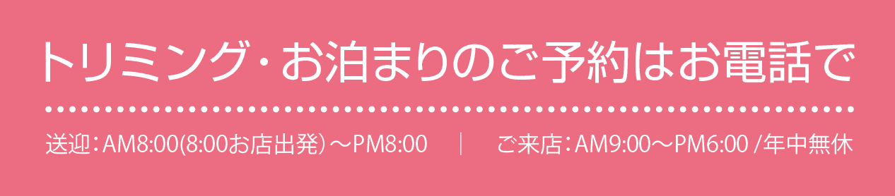 トリミング・お泊まりのご予約はお電話で