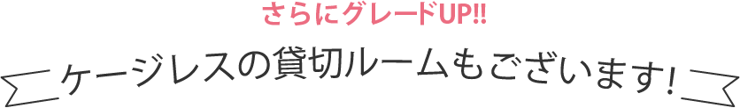 さらにグレードアップ！ケージレスの貸切ルームもございます！