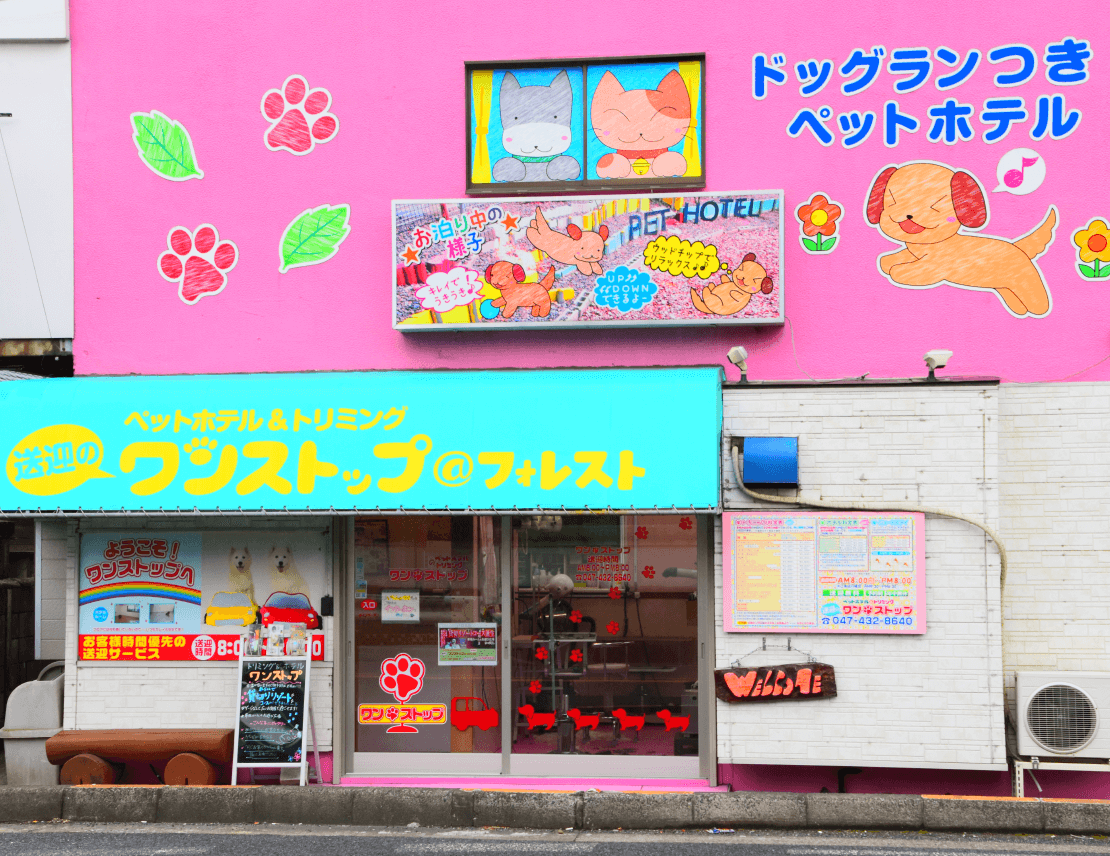 船橋本店