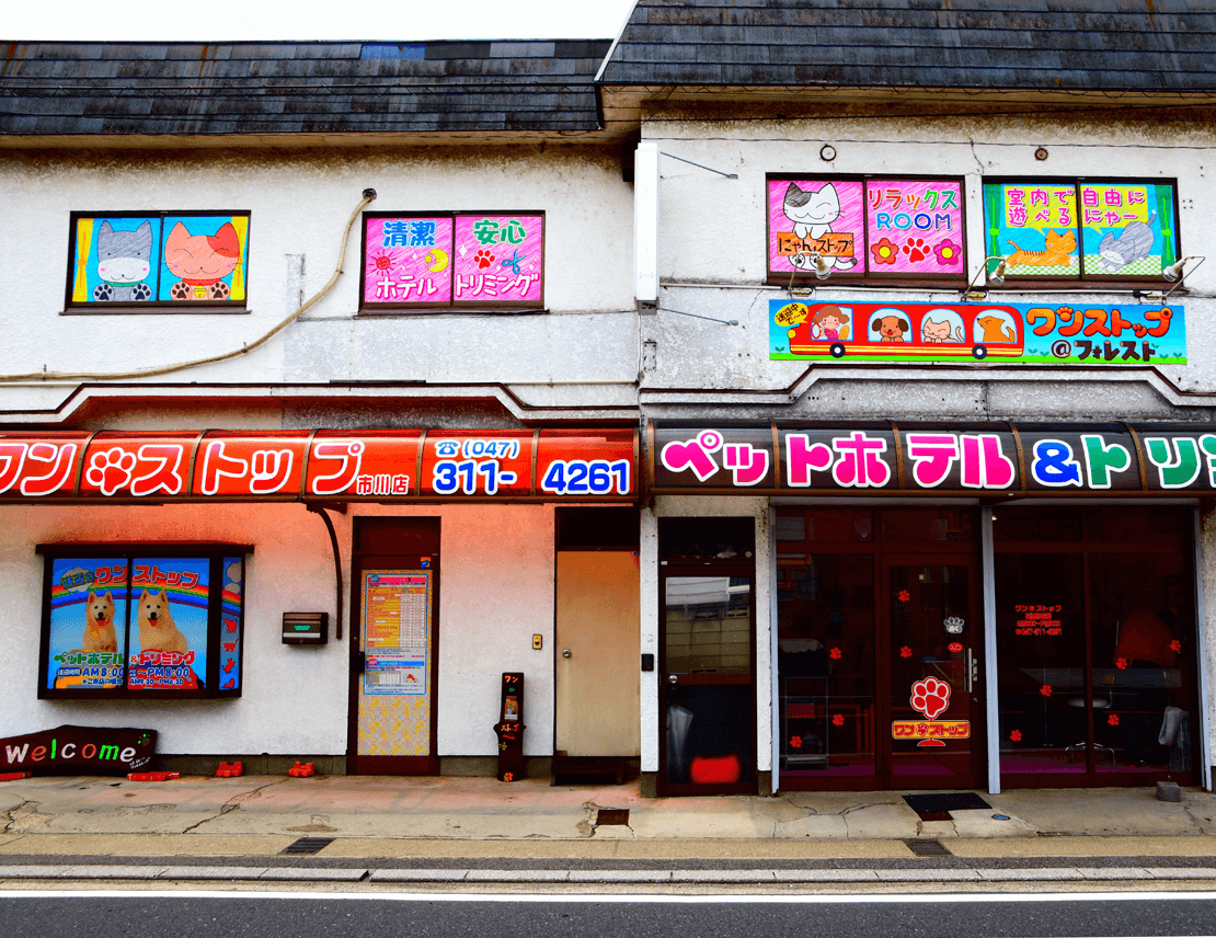 市川店