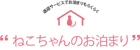 送迎サービスでお泊まりもらくらく！ねこちゃんのお泊まり