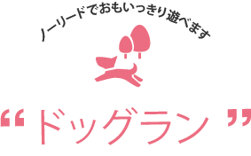 ノーリードでおもいっきり遊べます！ドッグラン