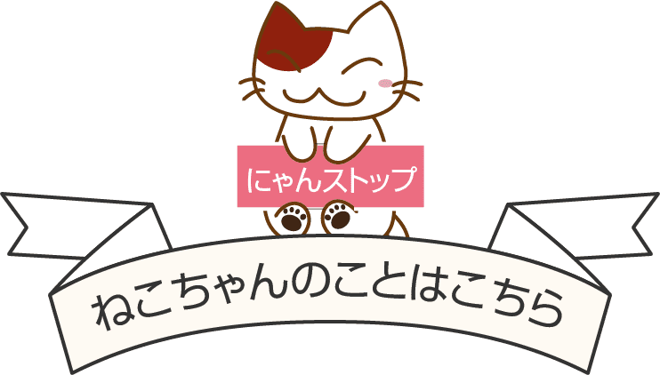 ねこちゃんのことはこちら