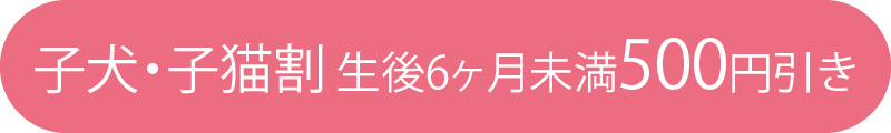 子犬・子猫割 生後6ヶ月未満500円引き