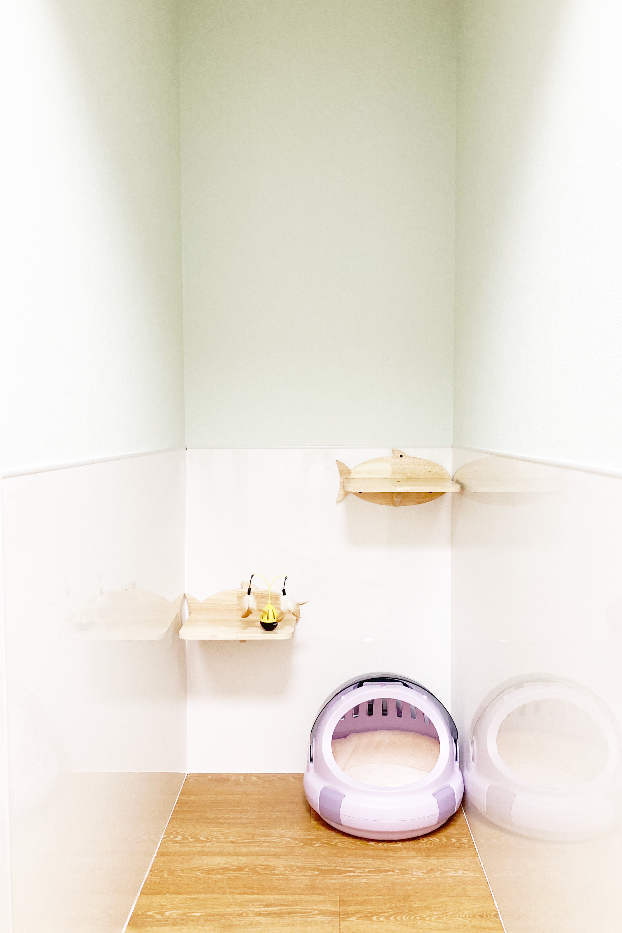 広々とした個室スペース